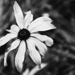 Photography Class