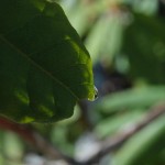 Photography Class