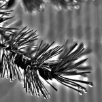 Photography Class