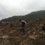 The alcove project