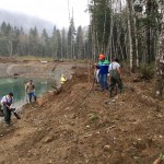 The alcove project