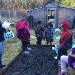 The Primary Class