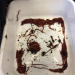 Worm Farming