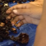 Worm Farming