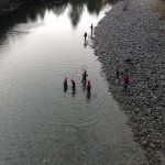 The Hatchery Project
