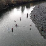 The Hatchery Project