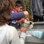 The Hatchery Project