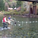 The Hatchery Project