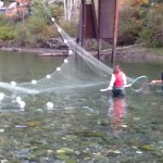 The Hatchery Project