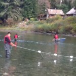 The Hatchery Project