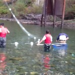 The Hatchery Project