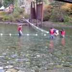 The Hatchery Project