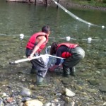 The Hatchery Project