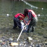 The Hatchery Project