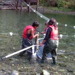The Hatchery Project