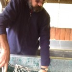 The Hatchery Project