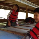 The Hatchery Project