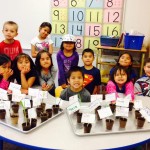 The Primary Class