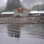 New School