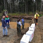 Planting vegitation